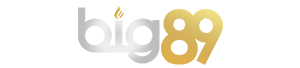 BIG89 logo